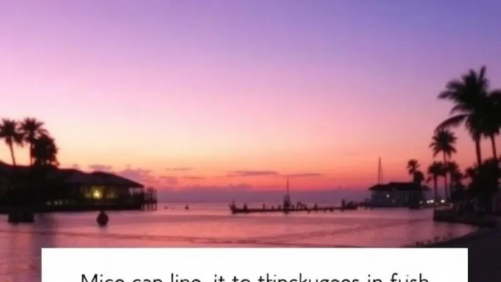 Instagram Caption Line Break