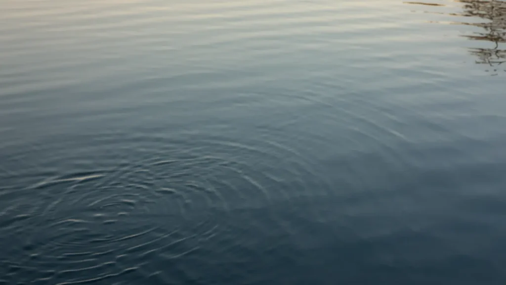 instagram fishing captions